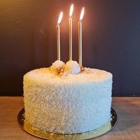 Kaarsen (groot - 10ST)